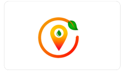it company